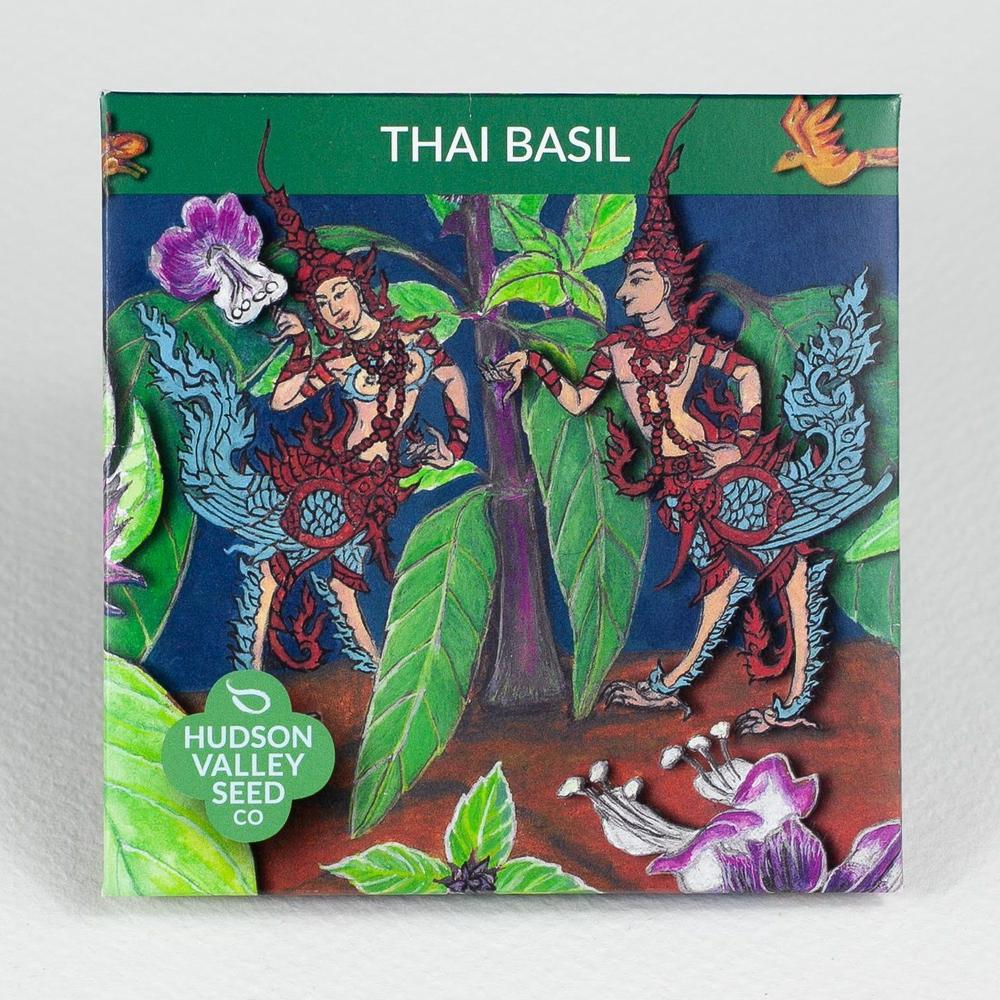 HV Thai Basil